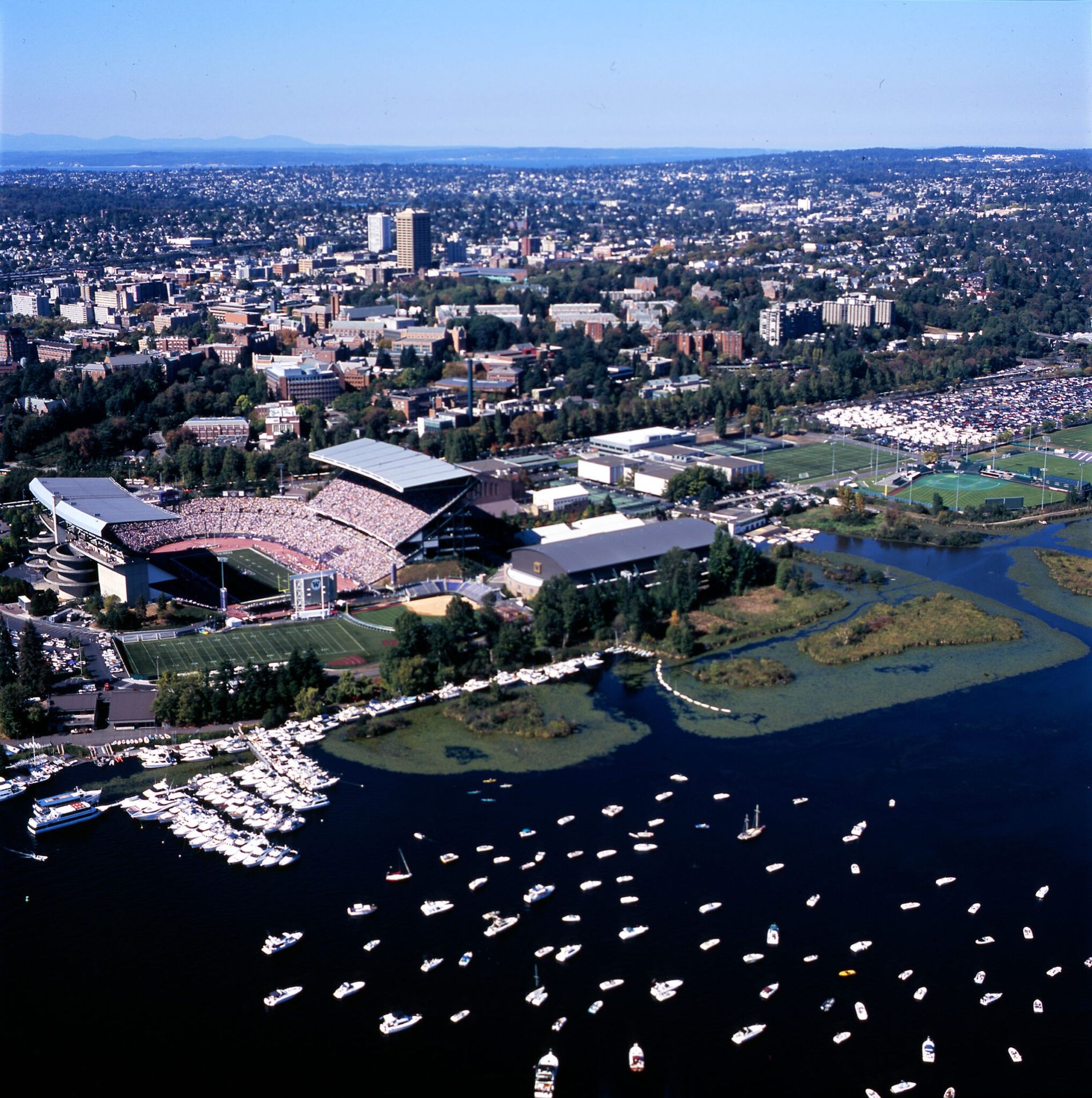 🏈 Sail-Gating — Go Dawgs!
